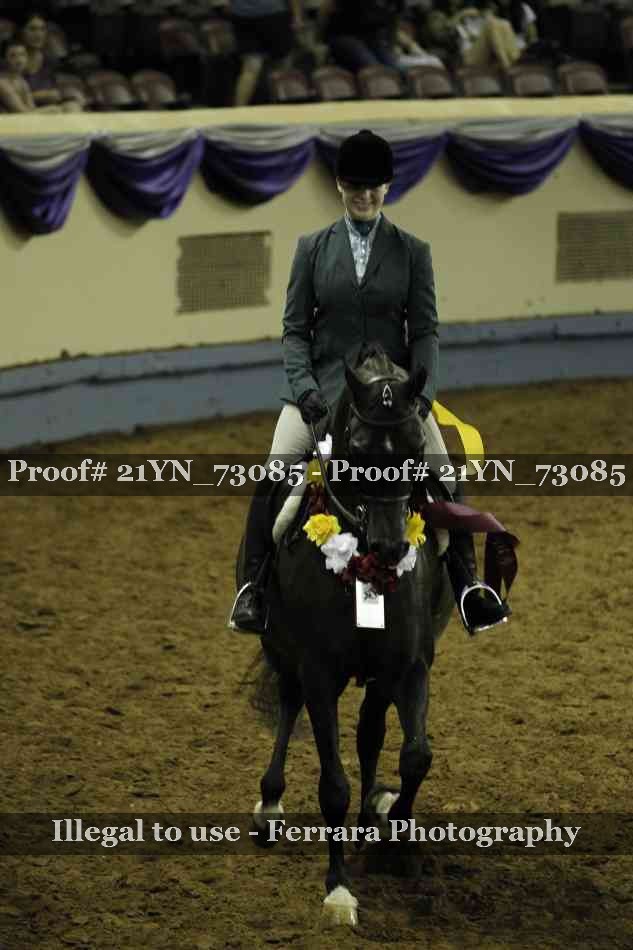 Proof 21YN_73085