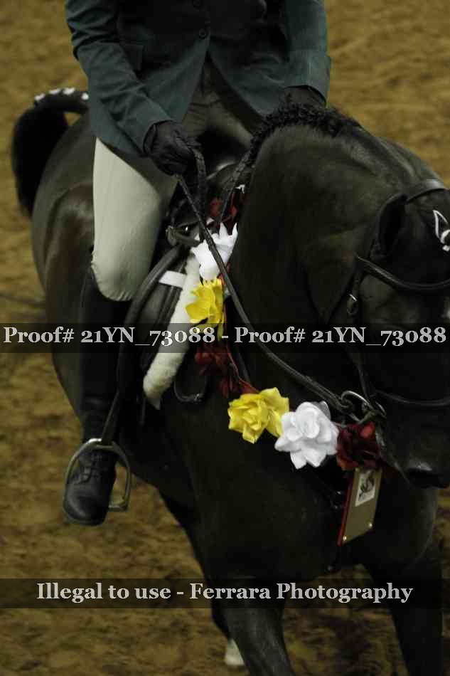 Proof 21YN_73088