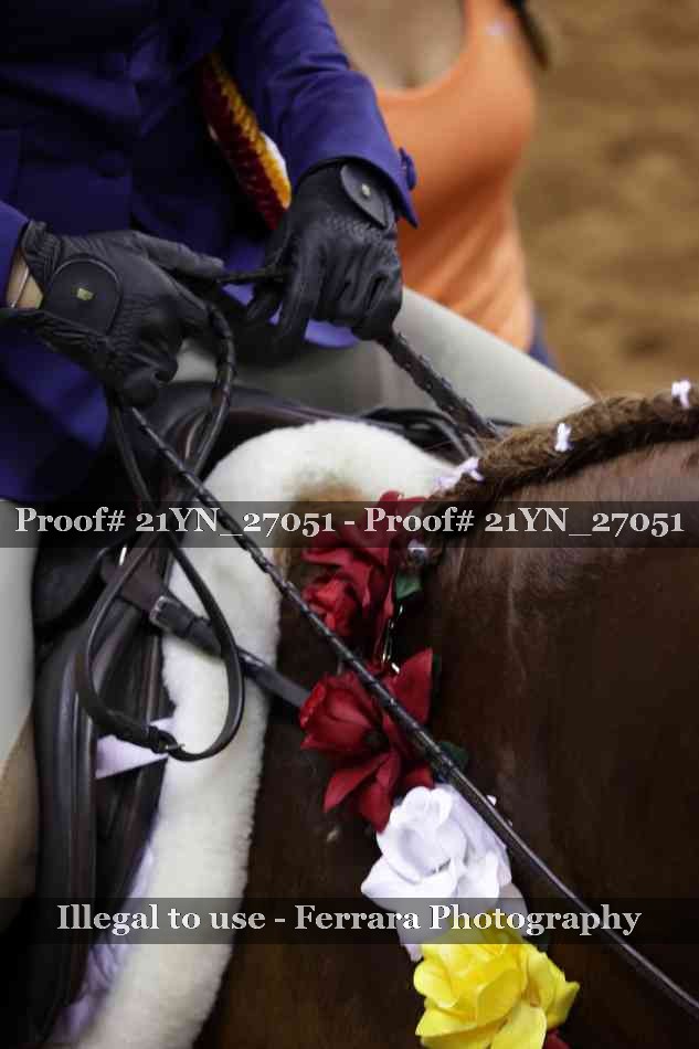 Proof 21YN_27051