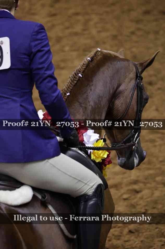 Proof 21YN_27053