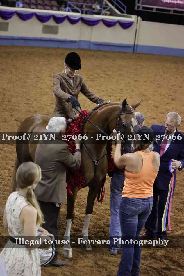Proof 21YN_27066