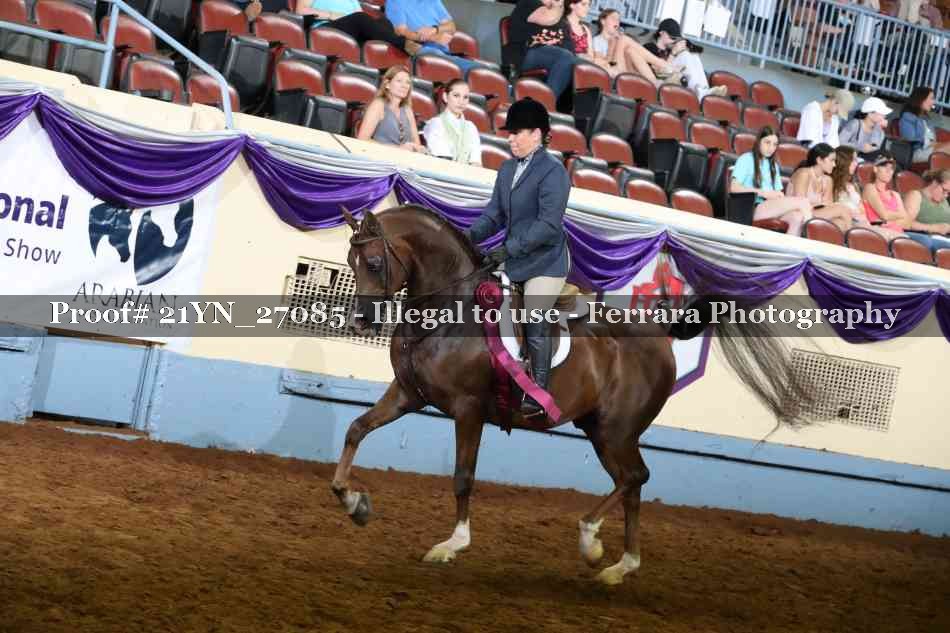 Proof 21YN_27085
