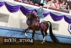 21YN_27104 proof