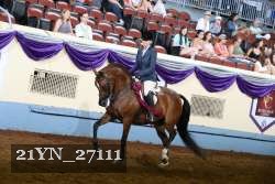 21YN_27111 proof
