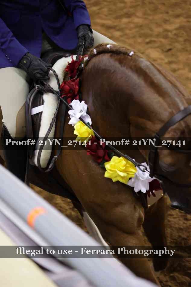 Proof 21YN_27141