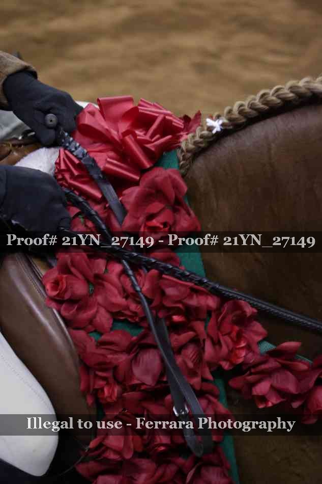 Proof 21YN_27149
