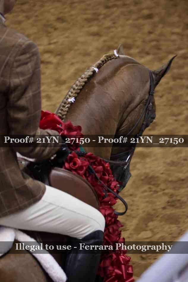 Proof 21YN_27150