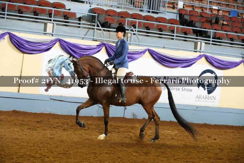 Proof 21YN_41953