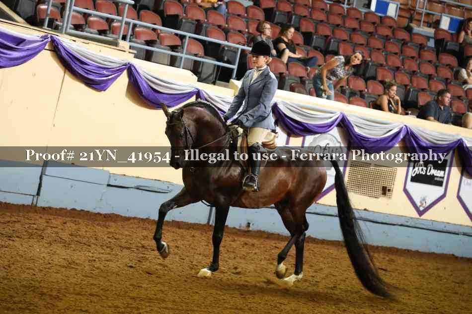 Proof 21YN_41954