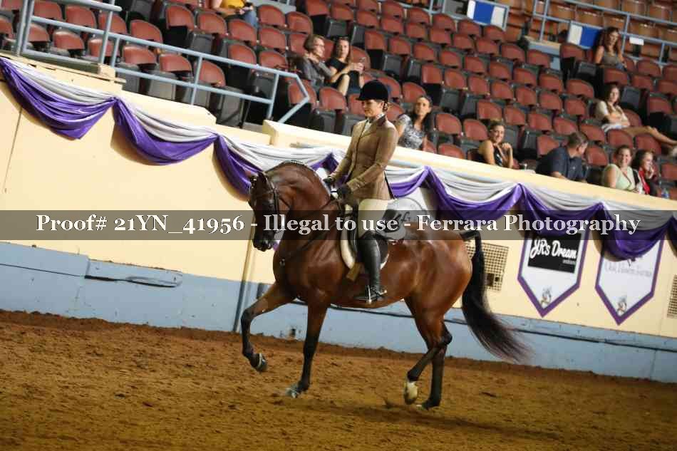 Proof 21YN_41956
