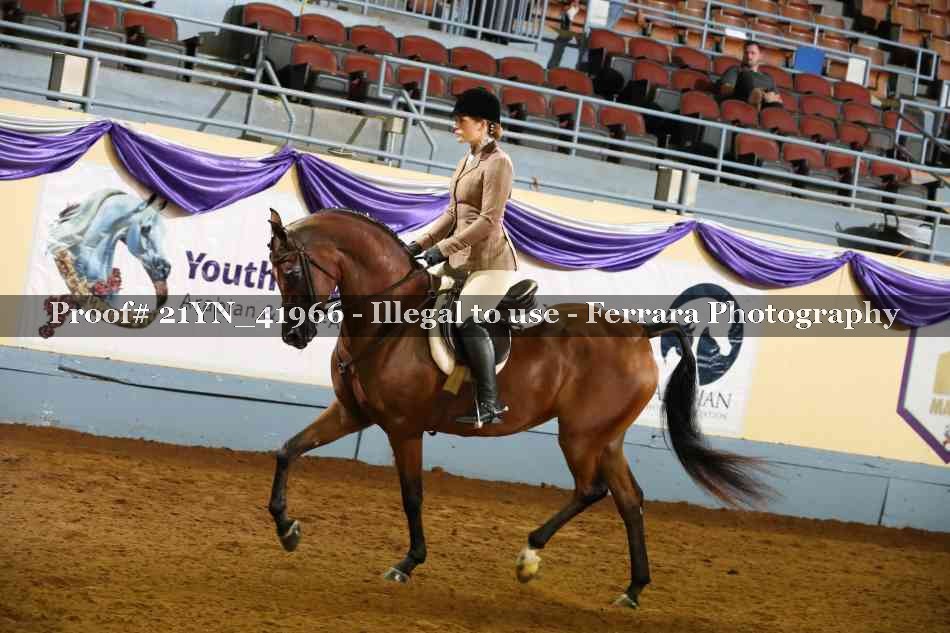 Proof 21YN_41966