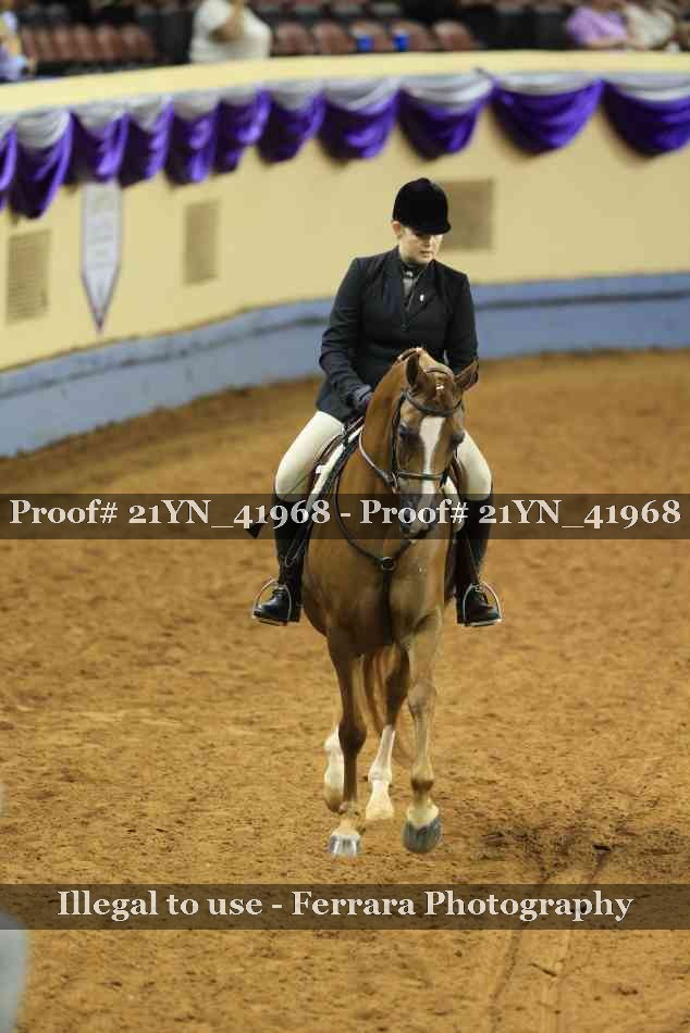 Proof 21YN_41968