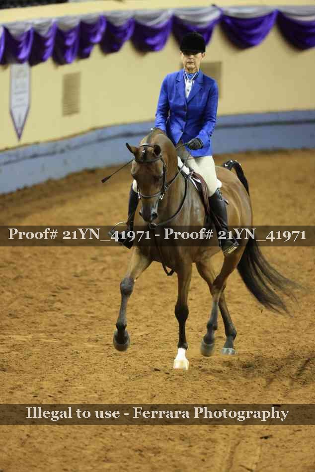 Proof 21YN_41971