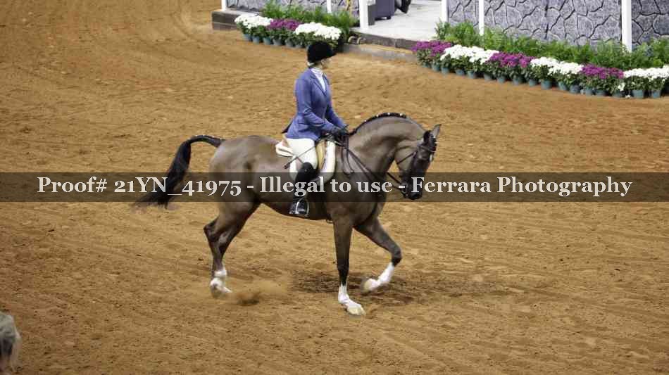 Proof 21YN_41975