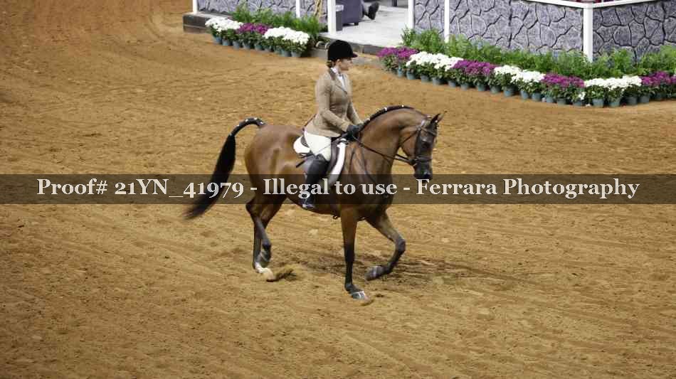 Proof 21YN_41979