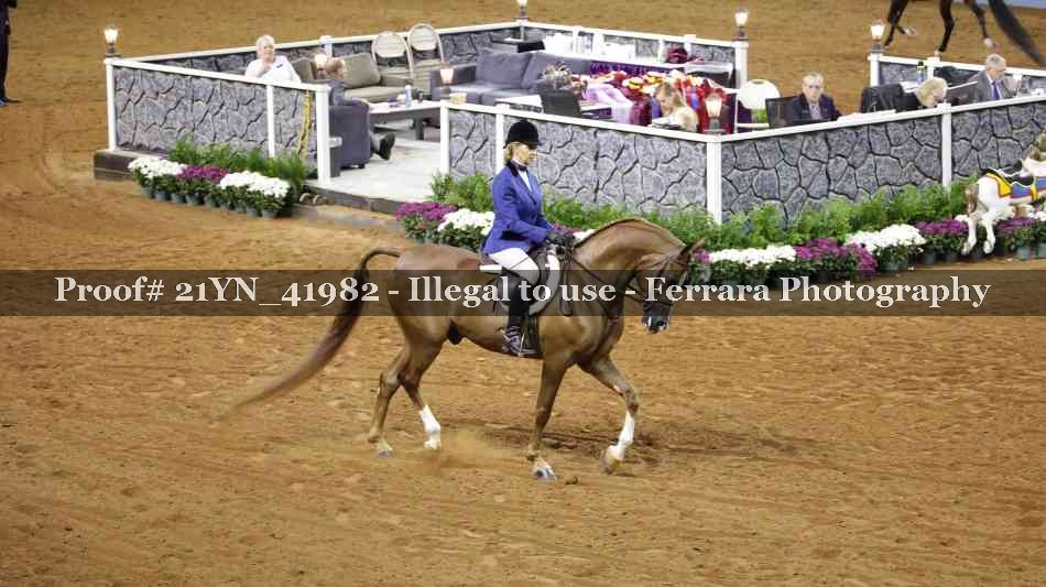 Proof 21YN_41982