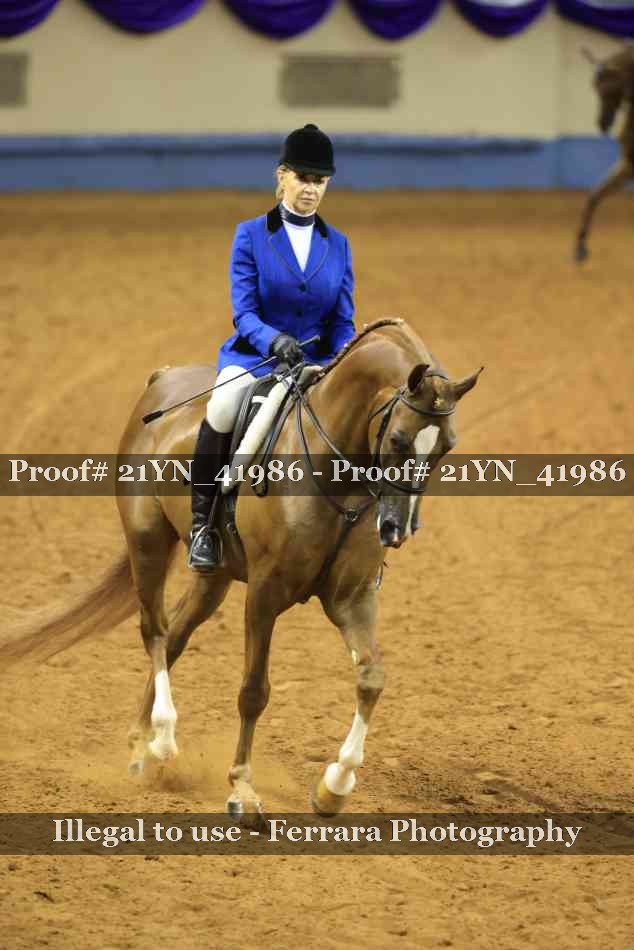 Proof 21YN_41986