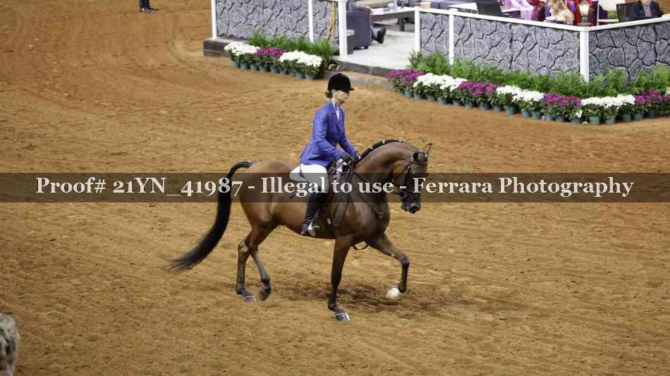 Proof 21YN_41987