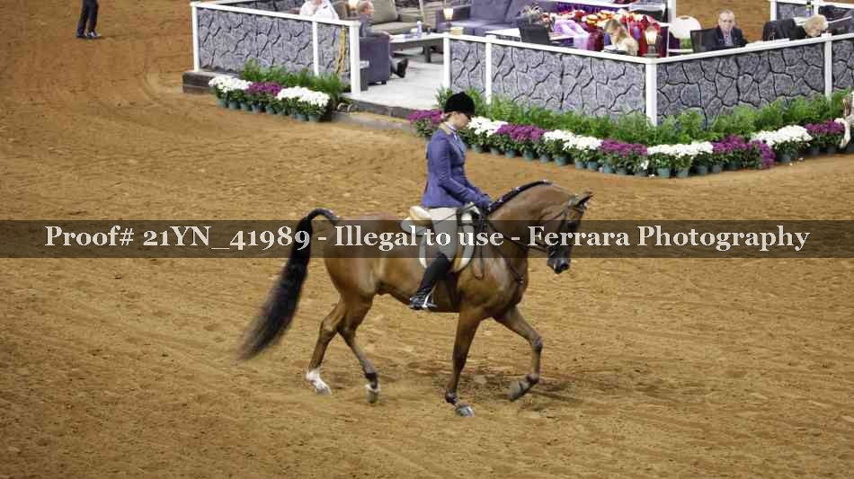 Proof 21YN_41989