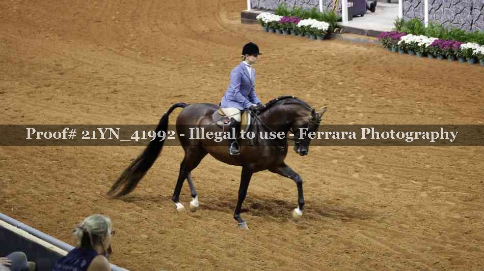 Proof 21YN_41992
