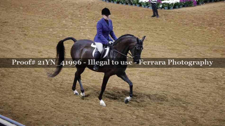 Proof 21YN_41996