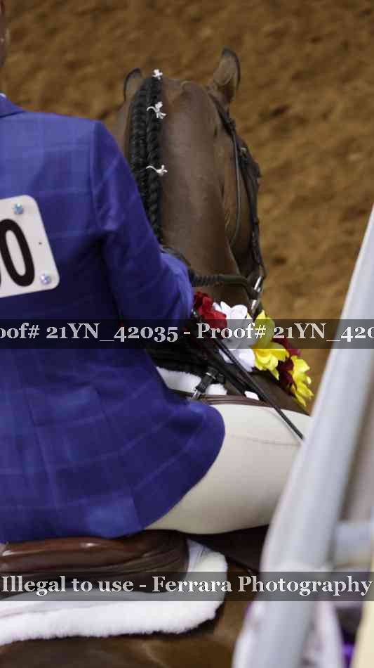 Proof 21YN_42035