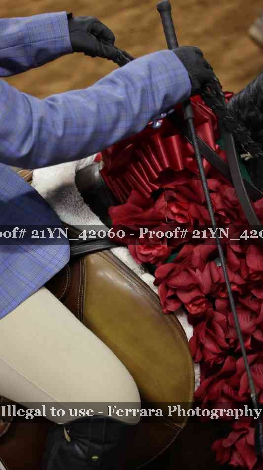 Proof 21YN_42060