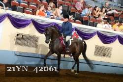 21YN_42061 proof