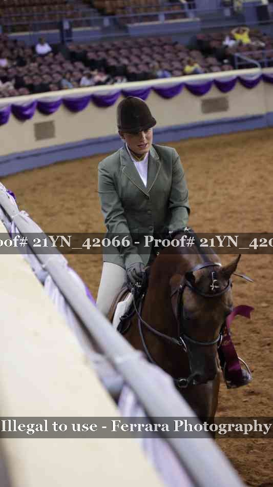 Proof 21YN_42066