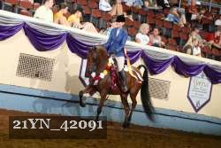 21YN_42091 proof
