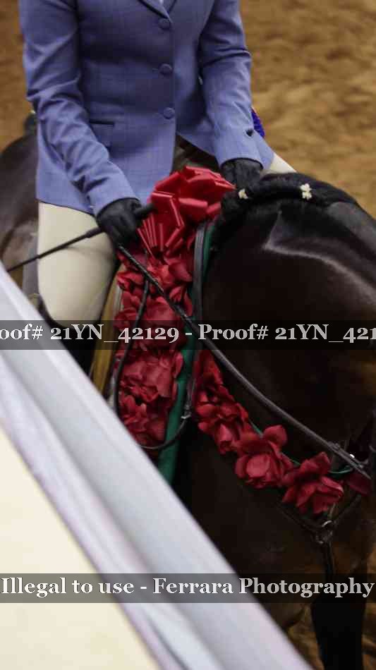 Proof 21YN_42129