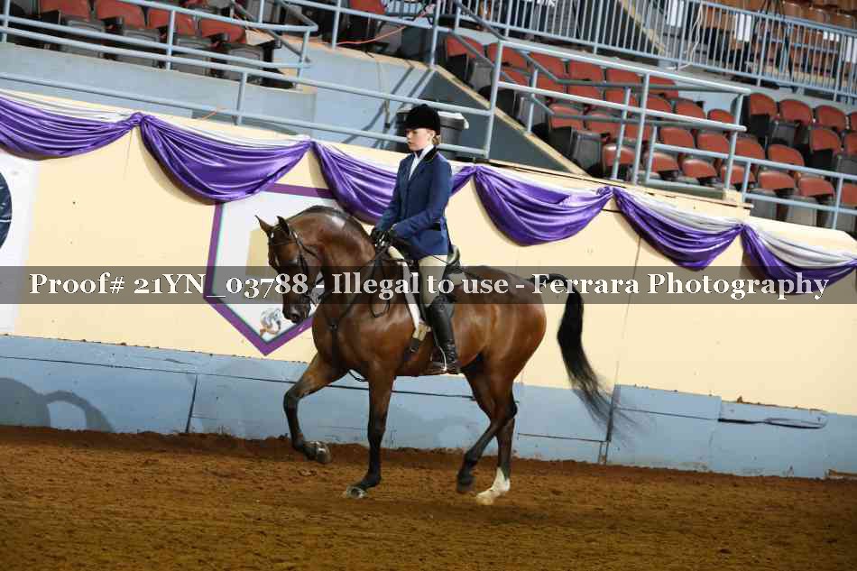Proof 21YN_03788