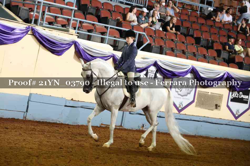 Proof 21YN_03790