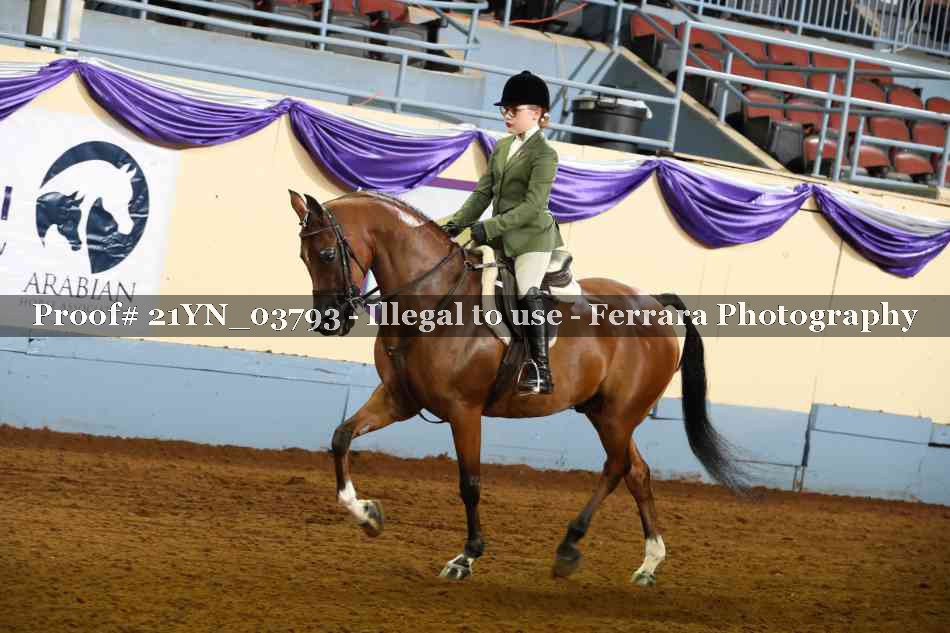 Proof 21YN_03793