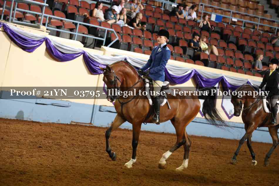 Proof 21YN_03795