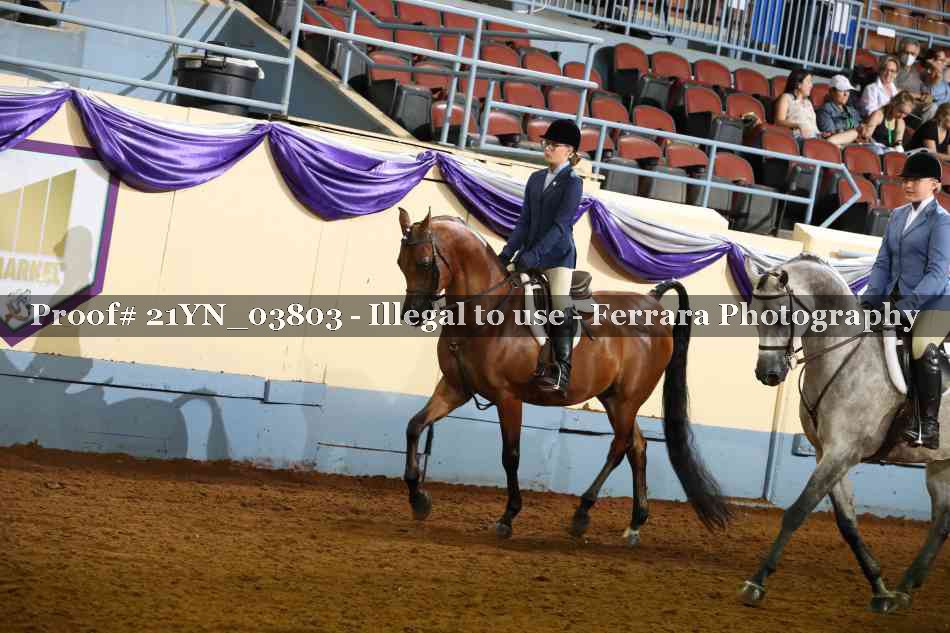 Proof 21YN_03803