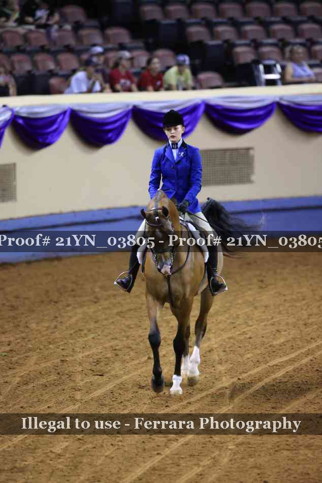 Proof 21YN_03805