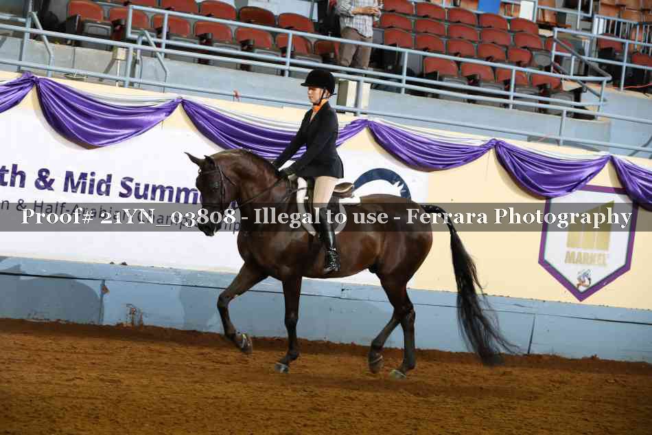 Proof 21YN_03808