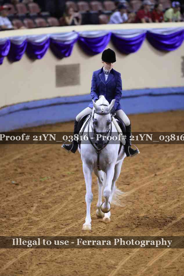 Proof 21YN_03816