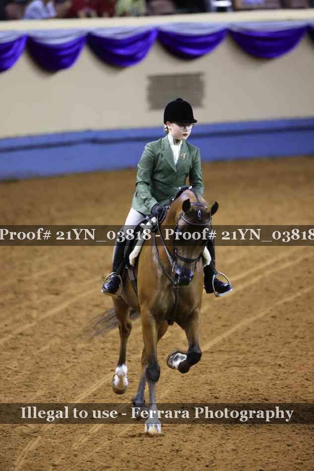 Proof 21YN_03818