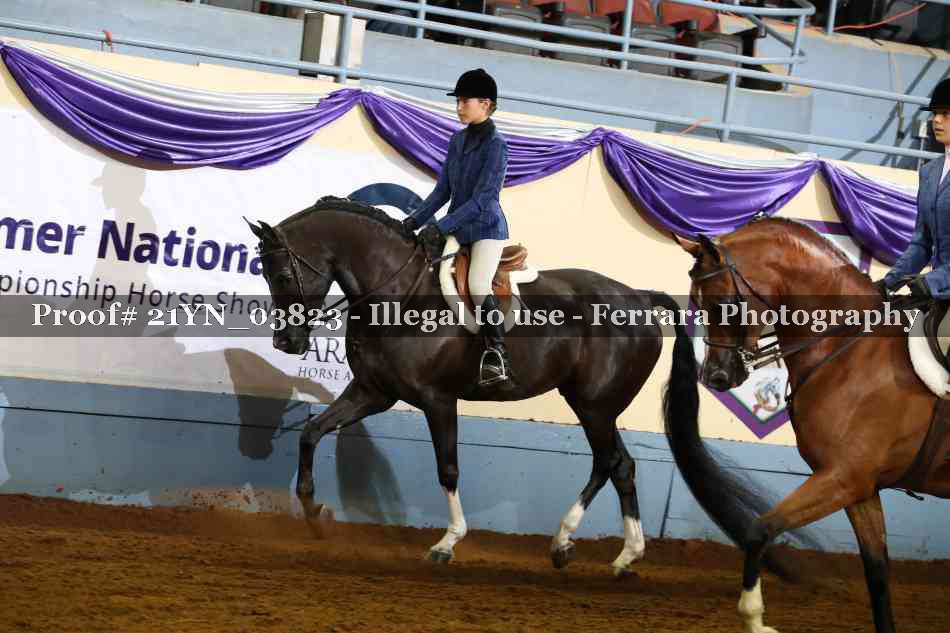 Proof 21YN_03823