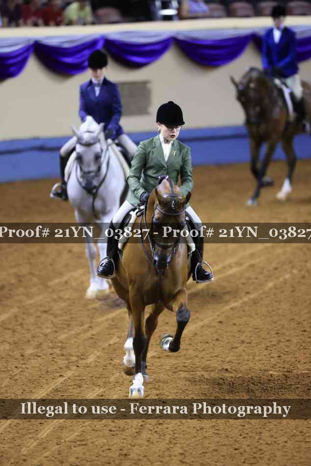 Proof 21YN_03827