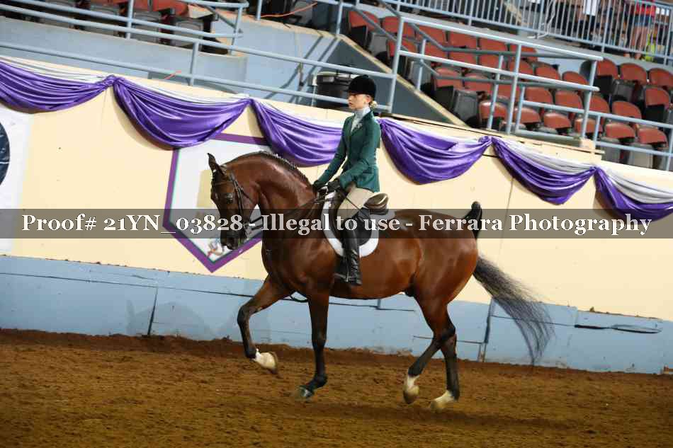 Proof 21YN_03828
