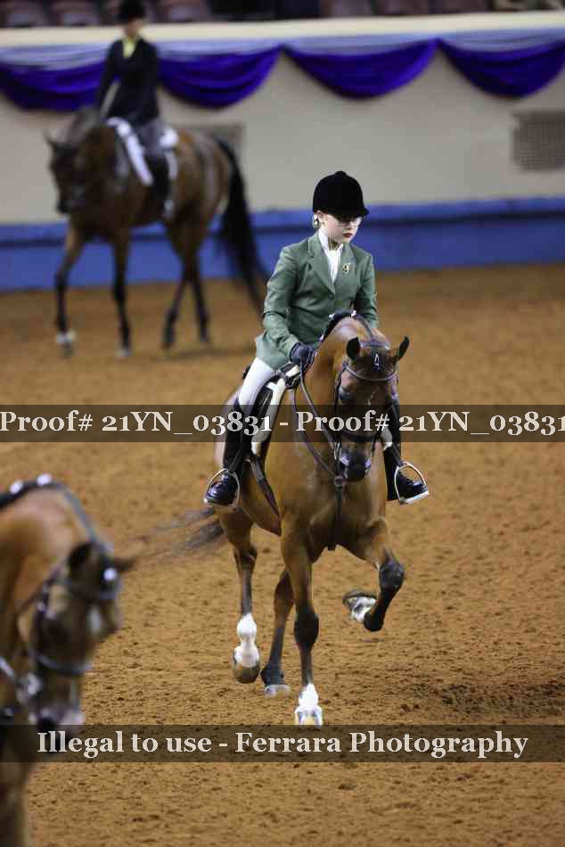 Proof 21YN_03831