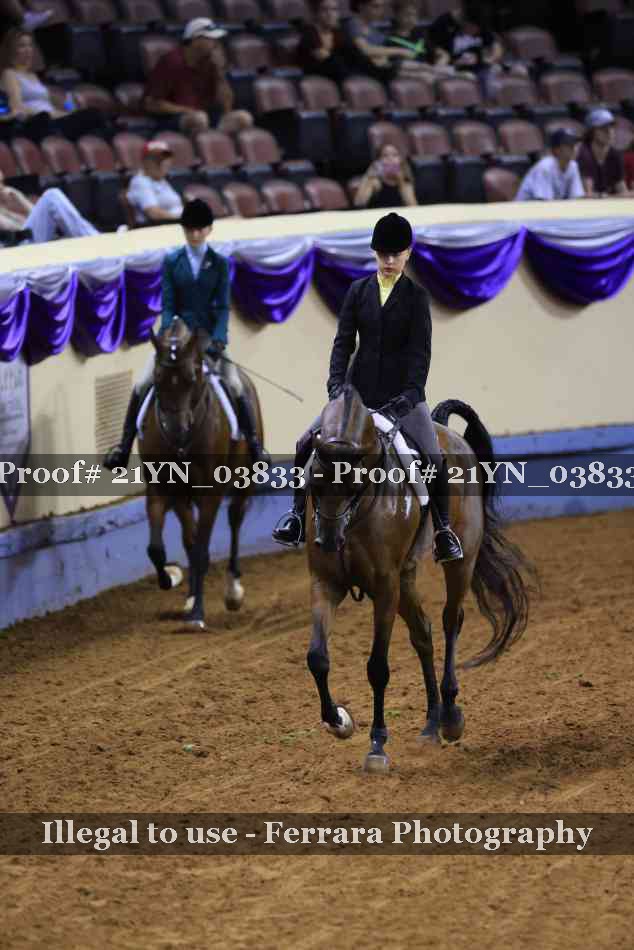 Proof 21YN_03833