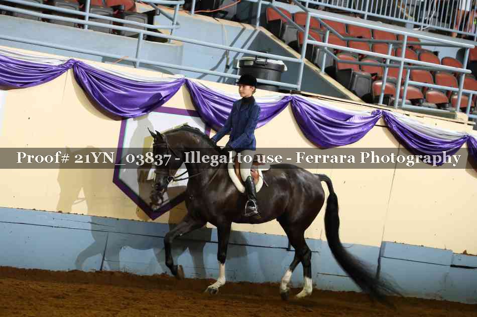 Proof 21YN_03837
