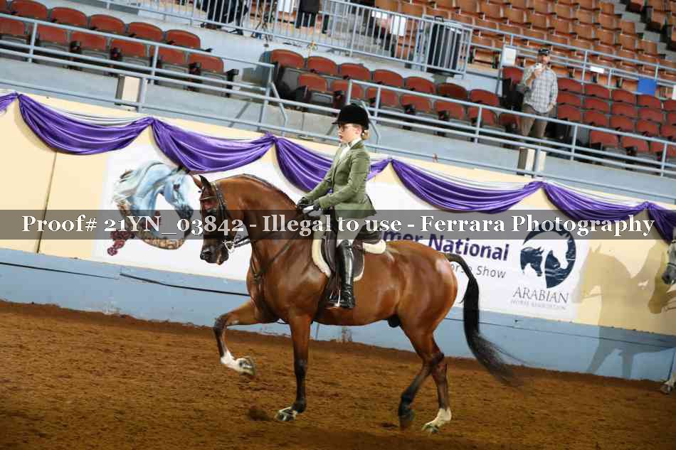 Proof 21YN_03842