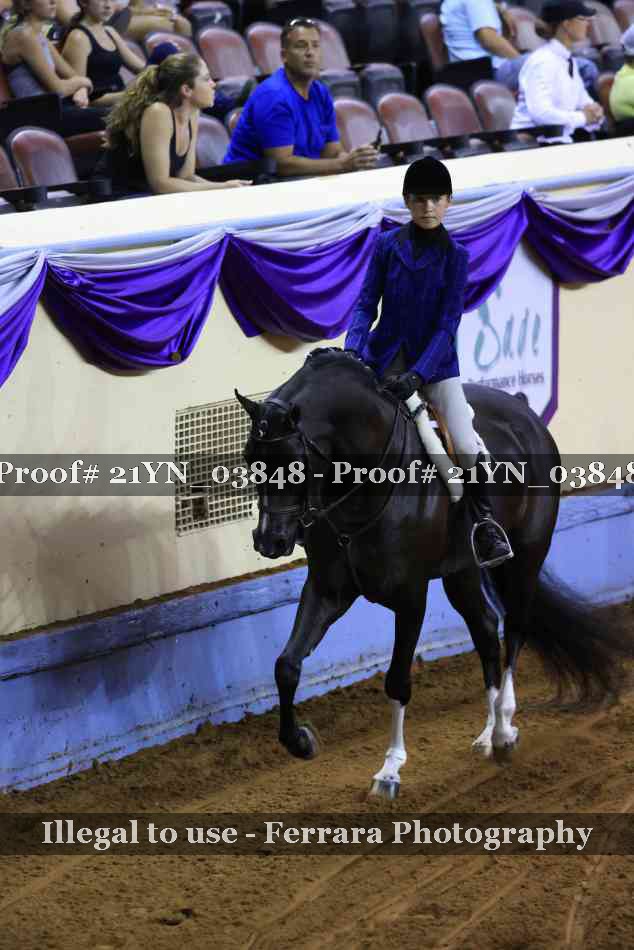 Proof 21YN_03848