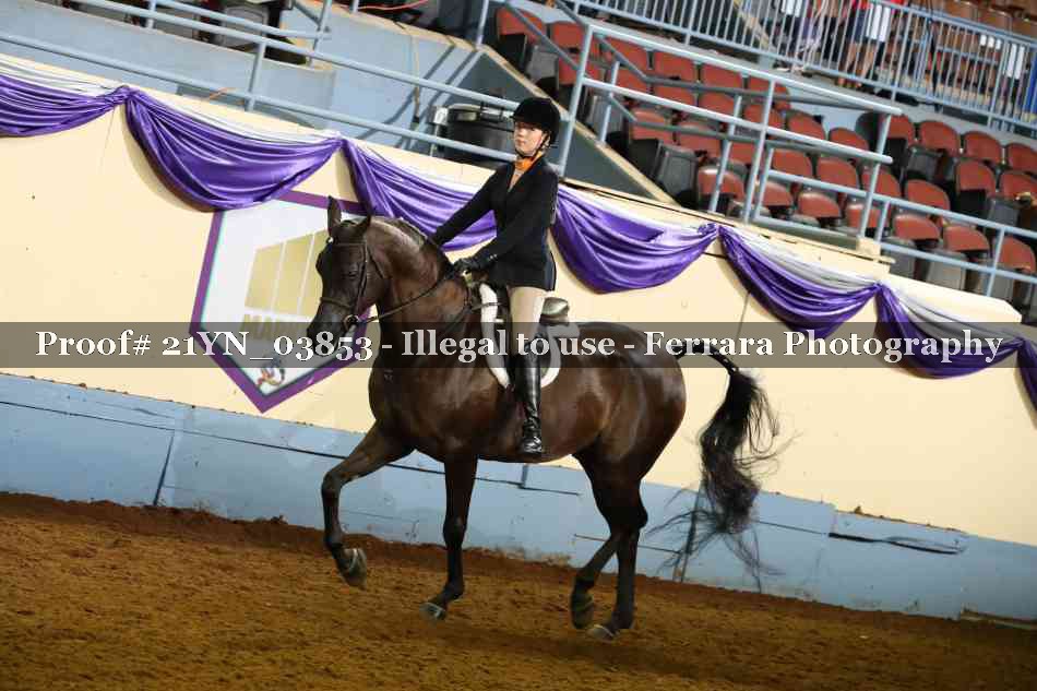 Proof 21YN_03853