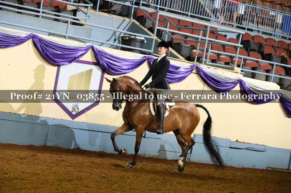 Proof 21YN_03855